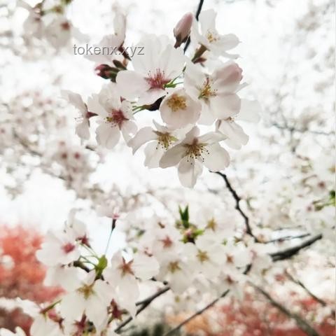 《藏海传》连更8天：揭秘这部热门小说的独特魅力与深度解析